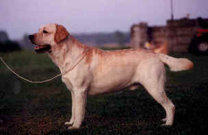 wpe3.jpg (6488 bytes)